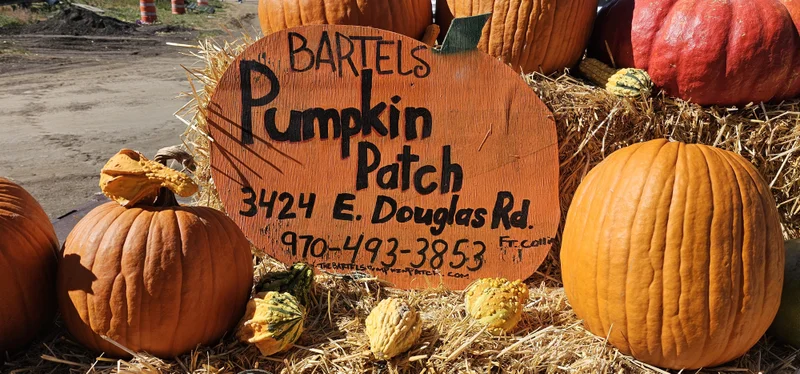 The Bartels Pumpkin Patch logo