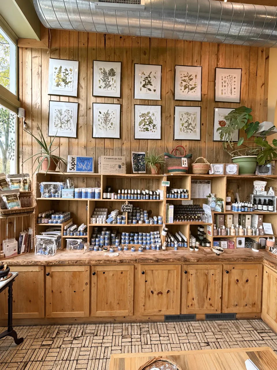 Inside Golden Poppy Herbal Apothecary