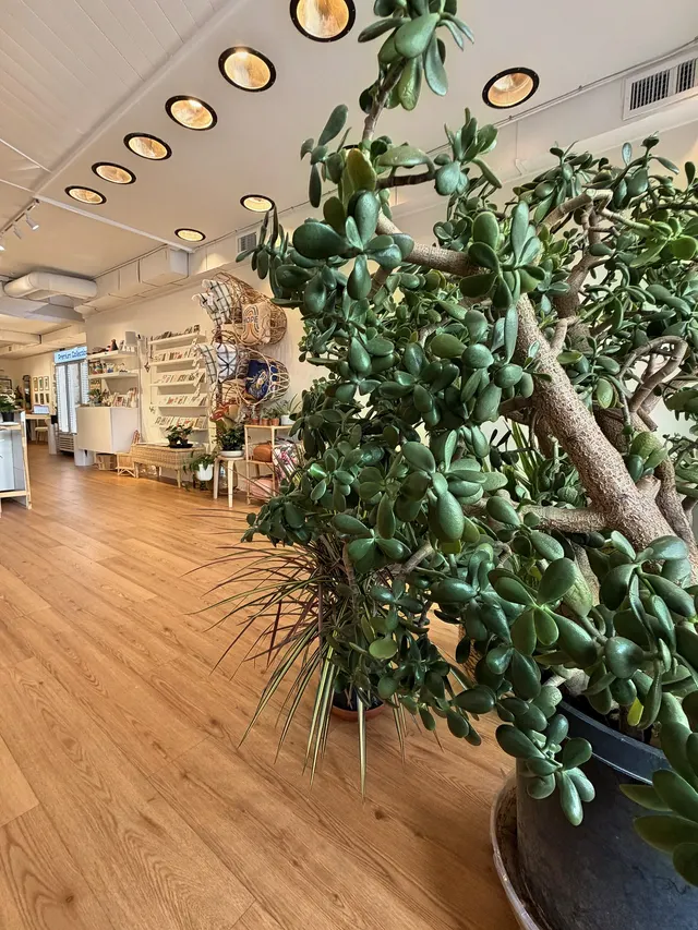 Inside CC's Fort Collins Flowers