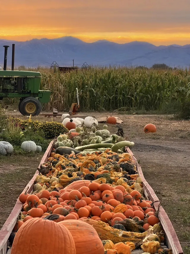 Bartels Farm, from outside