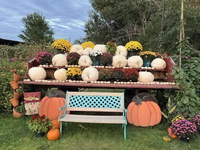 Bartels Farm, from outside