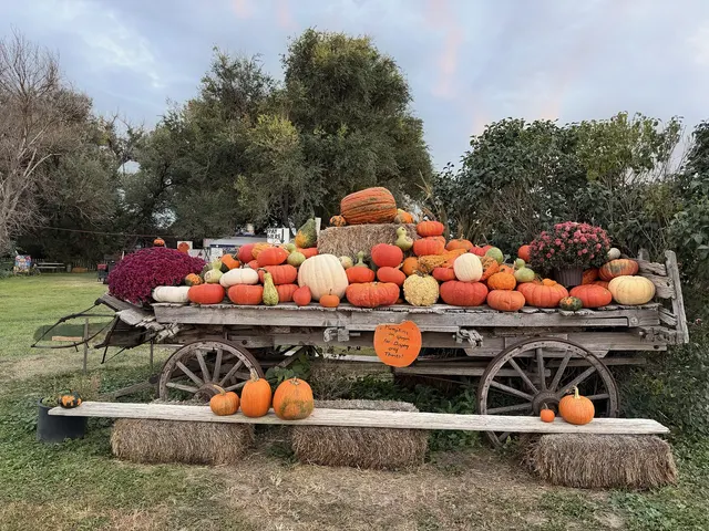 Bartels Farm, from outside